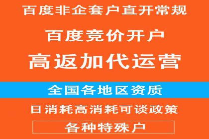 百度APP内推广：某产品的成功之路